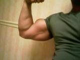 biceps off season.jpg