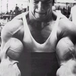 arnold-schwarzenegger-big-biceps.jpg