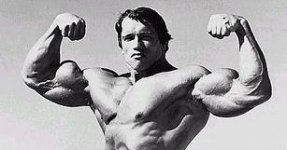 arnold-biceps.jpg