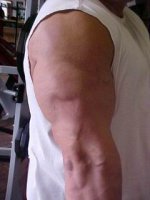 tricep right-1 - smaller pic.jpg