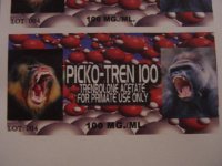 pickotren.jpg