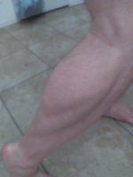 calf1.jpg