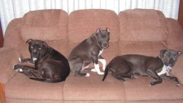 Sleepy Pits.jpg