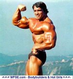 Arnold Schwarzenegger_60538.jpg