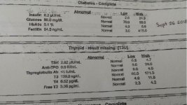 zzzzz normal blood glucose.JPG