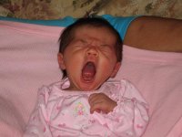 yawn.JPG