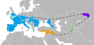 which-ethnic-group-has-the-most-neanderthal-dna-768x367.jpg