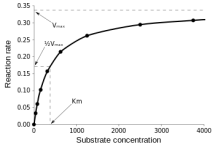 Michaelis-Menten-saturation-curve-of-an-enzyme-reaction.ProM.png