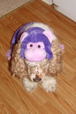 maddie 006.jpg