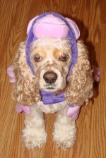 maddie007qs5.jpg