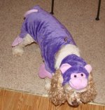 maddie011li1.jpg