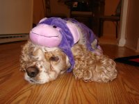 maddie012hy5.jpg