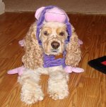 maddie013fa9.jpg