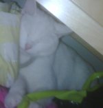 IMG00446.jpg