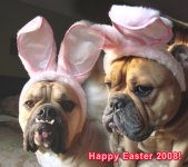 easter dog.jpg