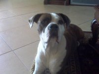 IMG00063.jpg