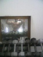 215LBS 10-27-08 9.jpg