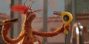 IMG_2409.gif