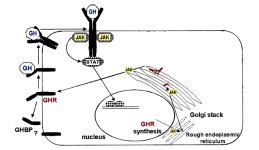 biogenisis.jpg