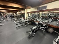 IMG_1128.jpeg