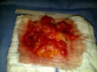 IMG_0182.jpeg