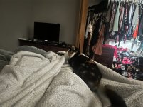 IMG_6876.jpeg