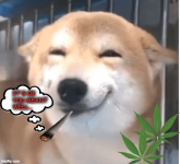 1729042086492.png