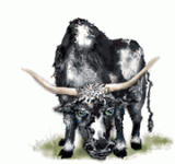 bull5.gif