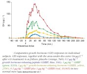 figure5.jpg