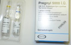 Pregnyl Organon I.JPG