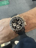 IMG_6727.jpeg