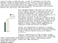 2024-11-16-Bolus-Editing.png