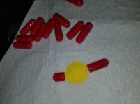 dnp 1.jpg