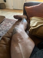 IMG_4415.jpeg