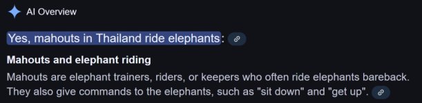 mahouts.jpg