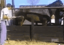 1739660160002.gif