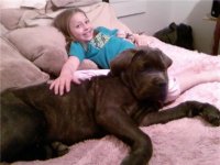 Kiley and Kingus.jpg