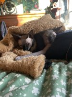 IMG_4769.jpeg