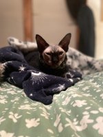IMG_9114.jpeg