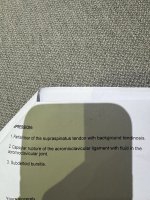 IMG_9339.jpeg
