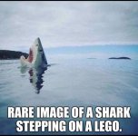 IMG_0203.jpeg