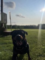 IMG_2532.jpeg