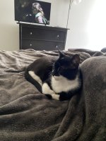 IMG_4051.jpeg