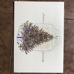 IMG_4947.jpeg