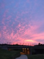 IMG_0438.jpeg