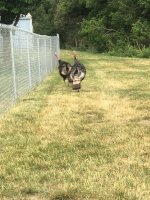 IMG_3858.jpeg