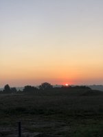 IMG_0164.jpeg