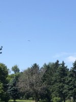 IMG_5012.jpeg