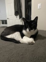 IMG_4116.jpeg