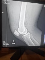 IMG_0719.jpeg